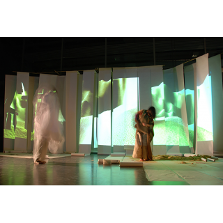 Theater / Musical / Revue