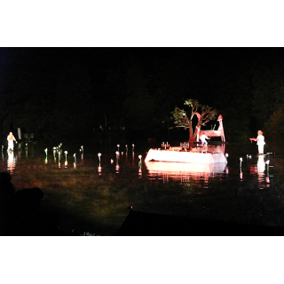 Theater / Musical / Revue