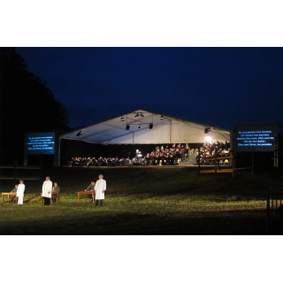 Theater / Musical / Revue